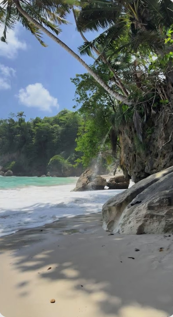 A beach with clear turquoise water, white sand, and lush greenery.