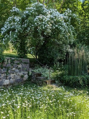 A garden with a stone wall, a tree with white flowers, and a grassy area with white flowers. - The Gates of Baudet (MIREFLEURS)