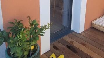 Dettaglio esterni