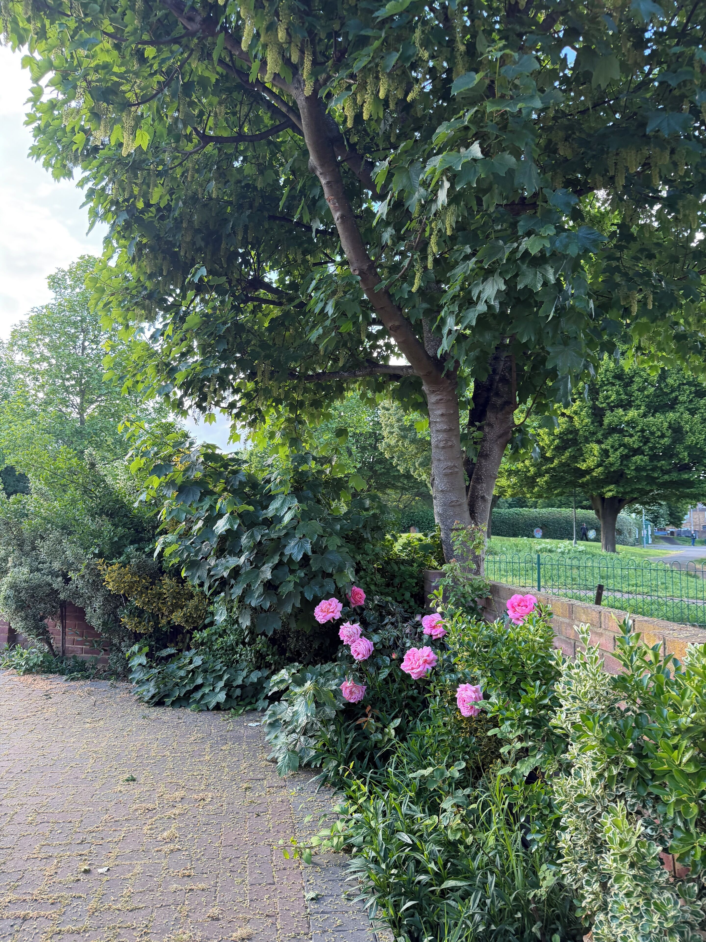 Parco della struttura