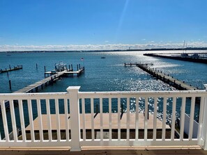 Property grounds - Big Waterfront House! Fishing Dock, Arcade, Garage Parking, Walk to Beach! (Norfolk)