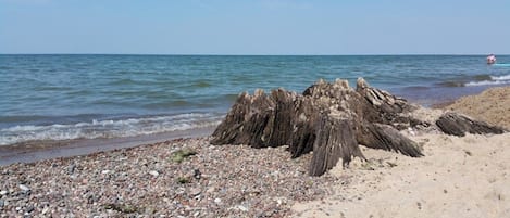 海灘