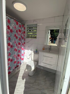 Een badkamer met een toilet, een wastafel en een spiegel.