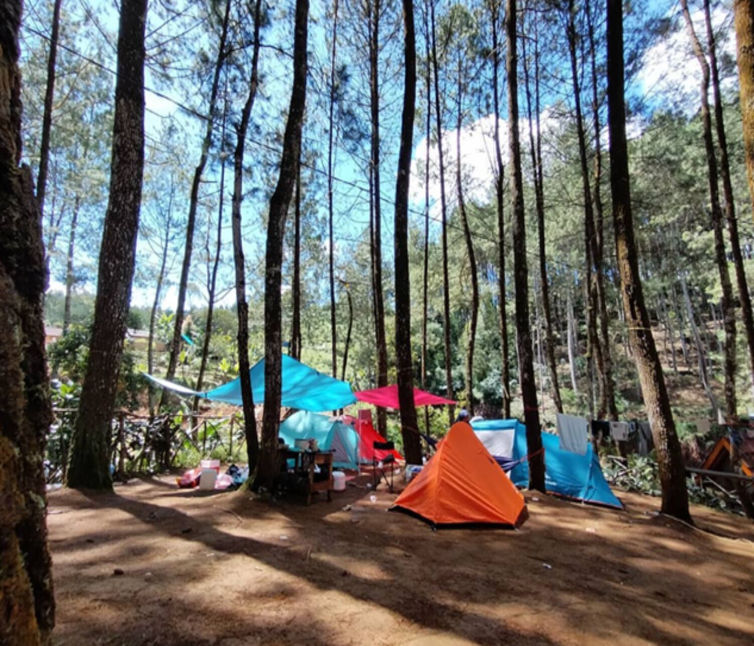 Tent, 4 slaapkamers | Terrein van de accommodatie