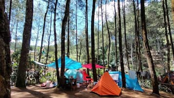 Tent, 4 slaapkamers | Terrein van de accommodatie