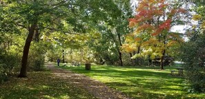 Ein Park mit einem Fußweg, Bänken und Bäumen im Herbstlaub.