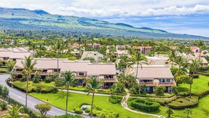 Zona residencial con casas, palmeras y una carretera.