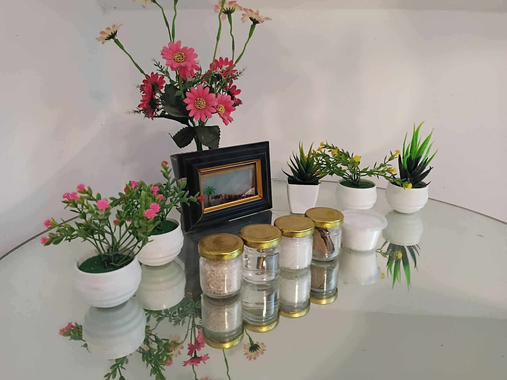 Une table en verre ornée de plantes en pot, d’un tableau encadré et de bocaux munis de couvercles.