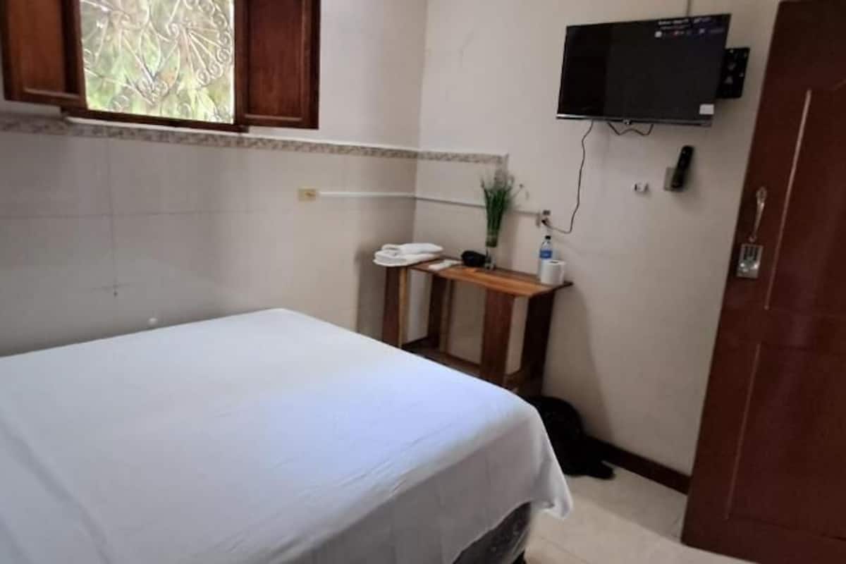 Una cama individual con cubrecama blanco, una mesita de noche de madera con un teléfono y una planta pequeña, un televisor montado en la pared y una puerta a la derecha.