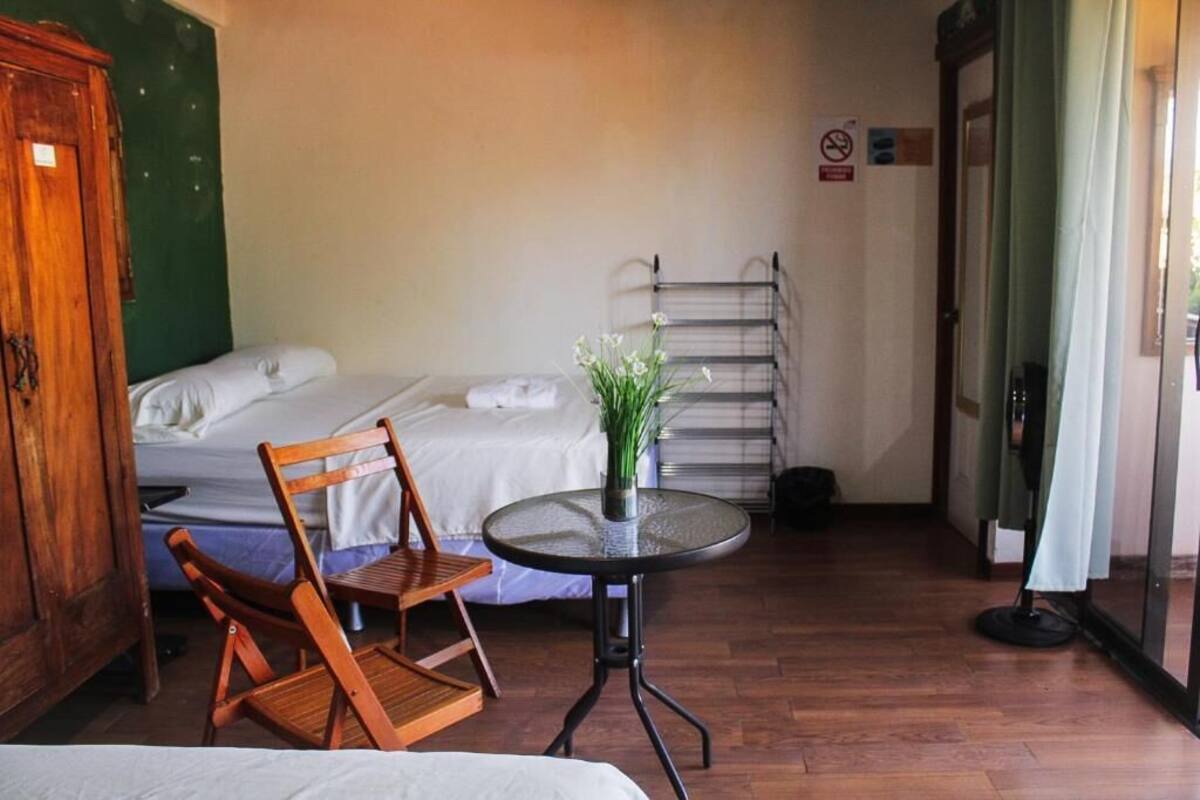Una habitación con una cama, una silla de madera, una mesita redonda con una planta y un tendedero.