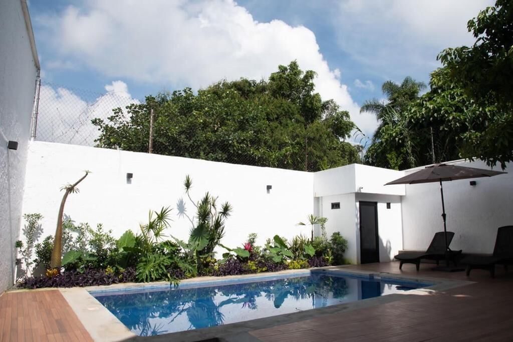 A swimming pool with a wooden deck, surrounded by lush greenery and a white wall.