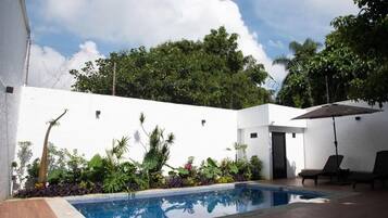 A swimming pool with a wooden deck, surrounded by lush greenery and a white wall.