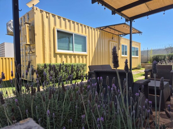 Un edificio tipo contenedor amarillo con un ventanal grande, mesas al aire libre y plantas de lavanda.
