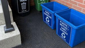 A trash bin, a green food waste bin, and two blue recycling bins against a brick wall.
