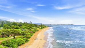 A beach with a clear view of the ocean, a sandy shore, and a line of trees. - Oceanfront & Oceanview | Pool View | Fully Renovated | Walk to Lydgate Beach (Lihue)