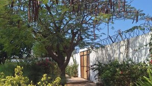 Ein Gartenweg führt zu einem weißen Gebäude mit einer Holztür, umgeben von verschiedenen Pflanzen und Bäumen.