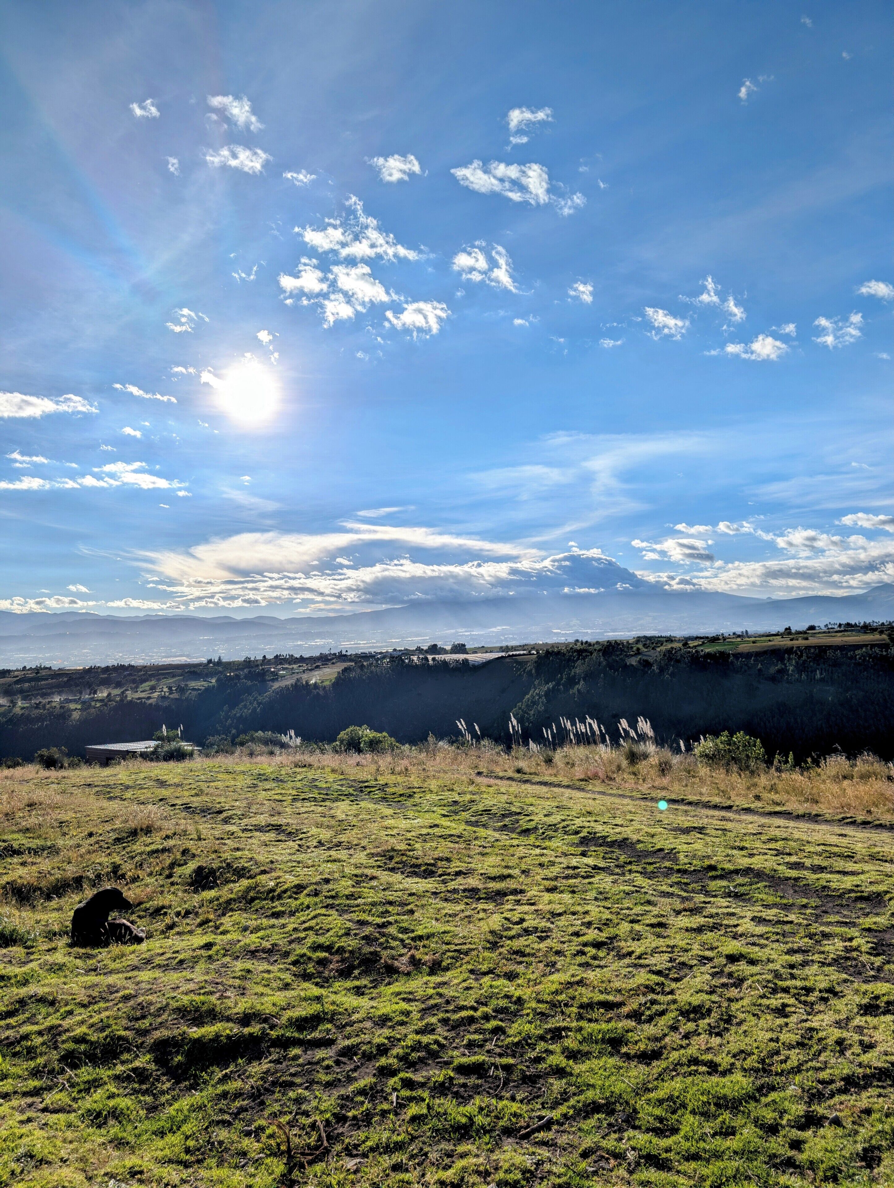 A grassy field with a distant mountain range under a clear sky.