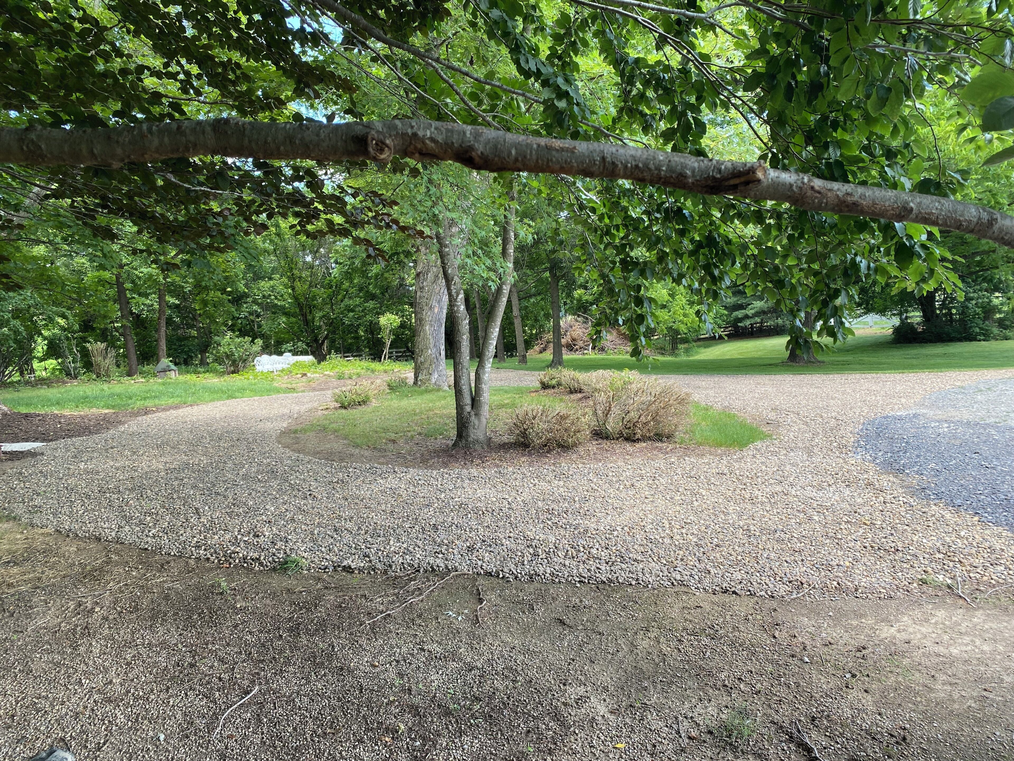 A gravel path with trees and a grassy area.