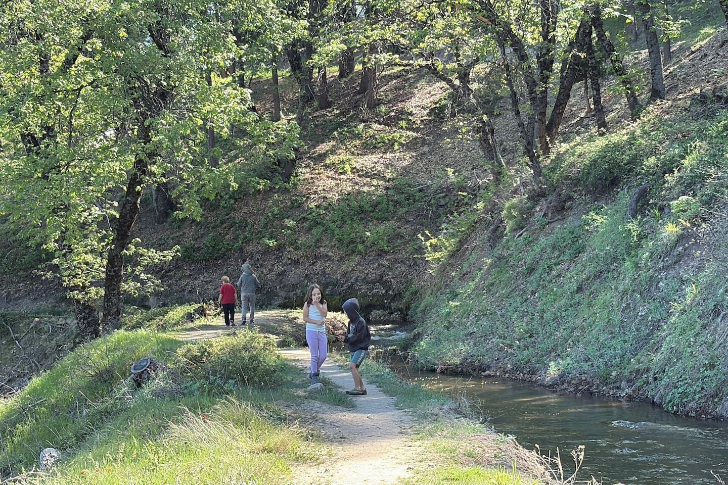 Eine natürliche Landschaft mit einem Weg, der zu einem Gewässer führt, umgeben von viel Grün.