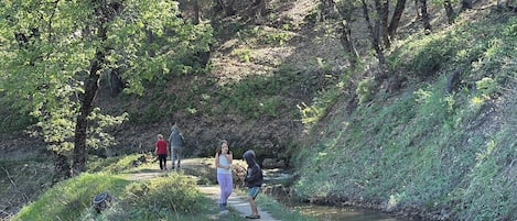 Un cadre naturel en plein air, avec un sentier menant à un plan d’eau, le tout entouré de verdure.