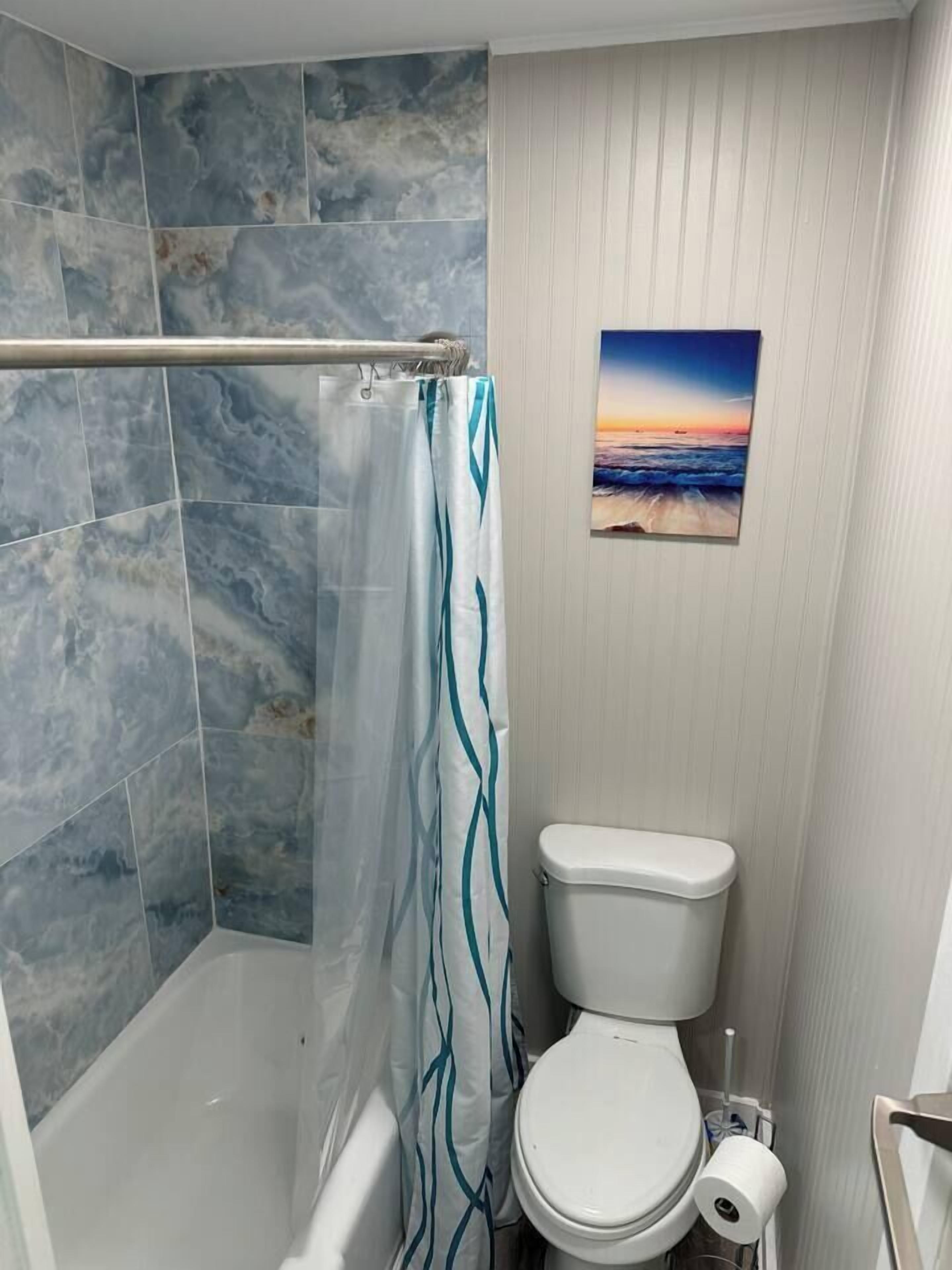 Un baño con ducha, inodoro y un cuadro en la pared.