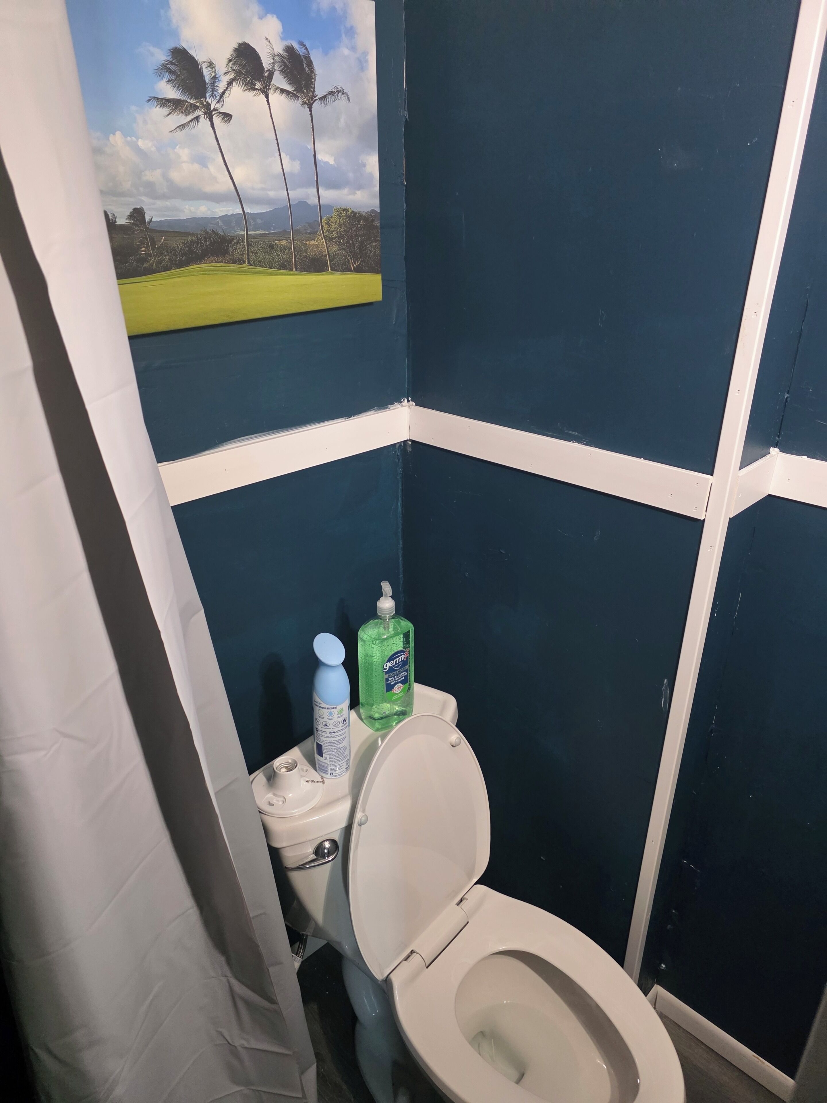 A bathroom with a toilet, a bottle of hand soap, and a picture of a golf course on the wall.