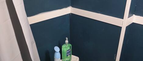A bathroom with a toilet, a bottle of hand soap, and a picture of a golf course on the wall.