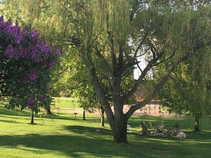 A large tree with purple flowers and a grassy area with outdoor furniture.