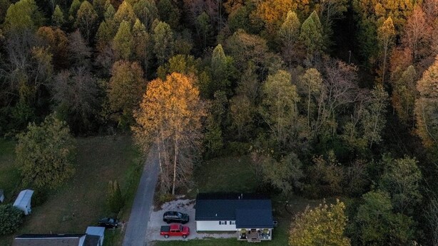 Eine Vogelperspektive eines bewaldeten Gebiets mit einer Straße, einem Haus und einem roten Auto.