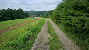 A rural path with fields and trees, leading to a distant hill.