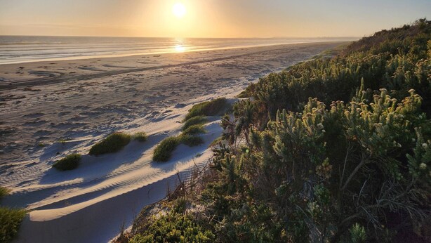 A beach with sand dunes and coastal vegetation. - Get away at Rivoli Bay Farm Stay. Beach access close by. Sleeps 6 (Beachport)