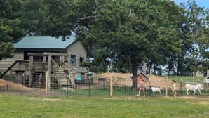 A rustic wooden building with a green roof, surrounded by a fenced area with trees and a grassy field.