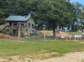 Un bâtiment rustique en bois, doté d’un toit végétalisé, entouré d’une zone délimitée par une clôture, avec des arbres et un champ d’herbe.