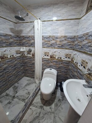 Deluxe Twin kamer, privébadkamer, op benedenverdieping | Badkamer | Een douche, handdoeken, zeep, toiletpapier
