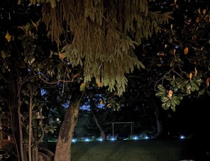 A tree with hanging branches and a swing set in a dark outdoor area.