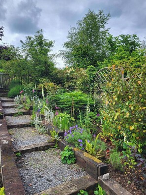 Een tuin met diverse planten en een houten constructie.