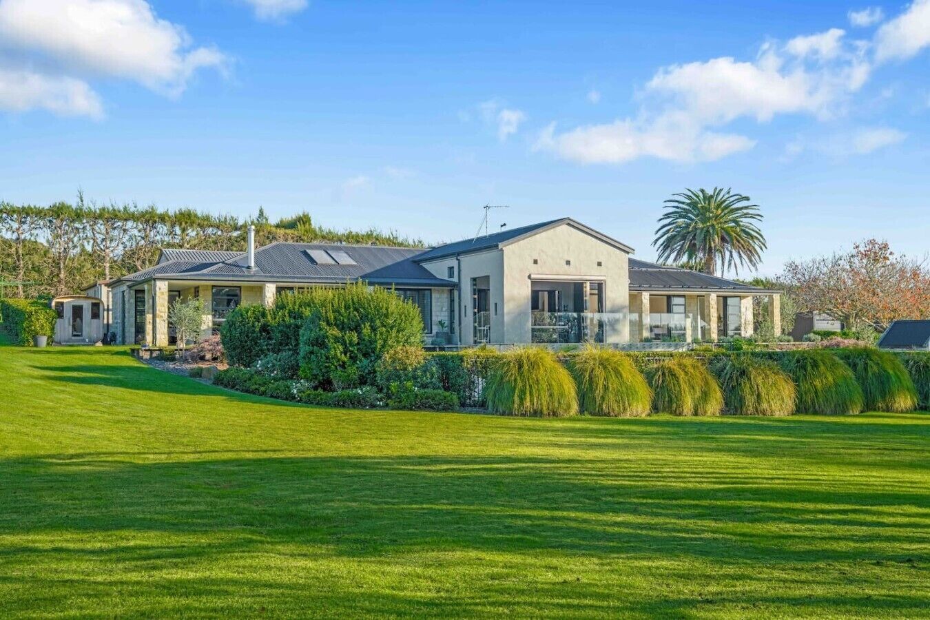 A modern two-story house with a well-maintained lawn and a large palm tree.