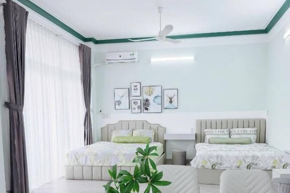 Habitación de hotel con cama, sofá, mesa de comedor con planta y ventilador de techo.