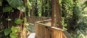 Private 2-Acre Woodland Retreat Pool + Boardwalk