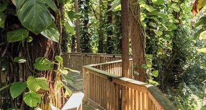 Private 2-Acre Woodland Retreat Pool + Boardwalk