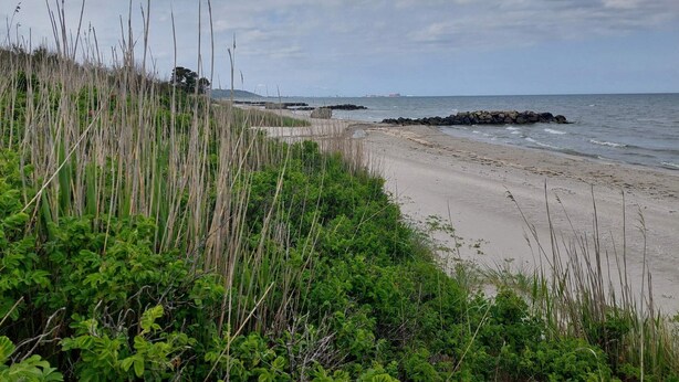 Een strand met een rotsachtige zeewering, weelderige begroeiing en een schip op de horizon.
