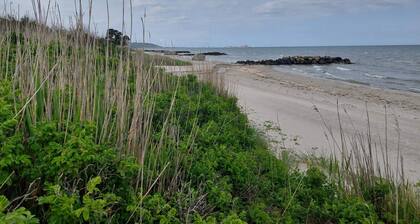 4 Star Holiday Home in Frederikshavn