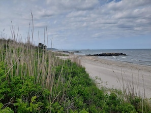 A coastal beach with a rocky breakwater, dense vegetation, and a clear view of the sea. - 4 Star Holiday Home in Frederikshavn (Frederikshavn)