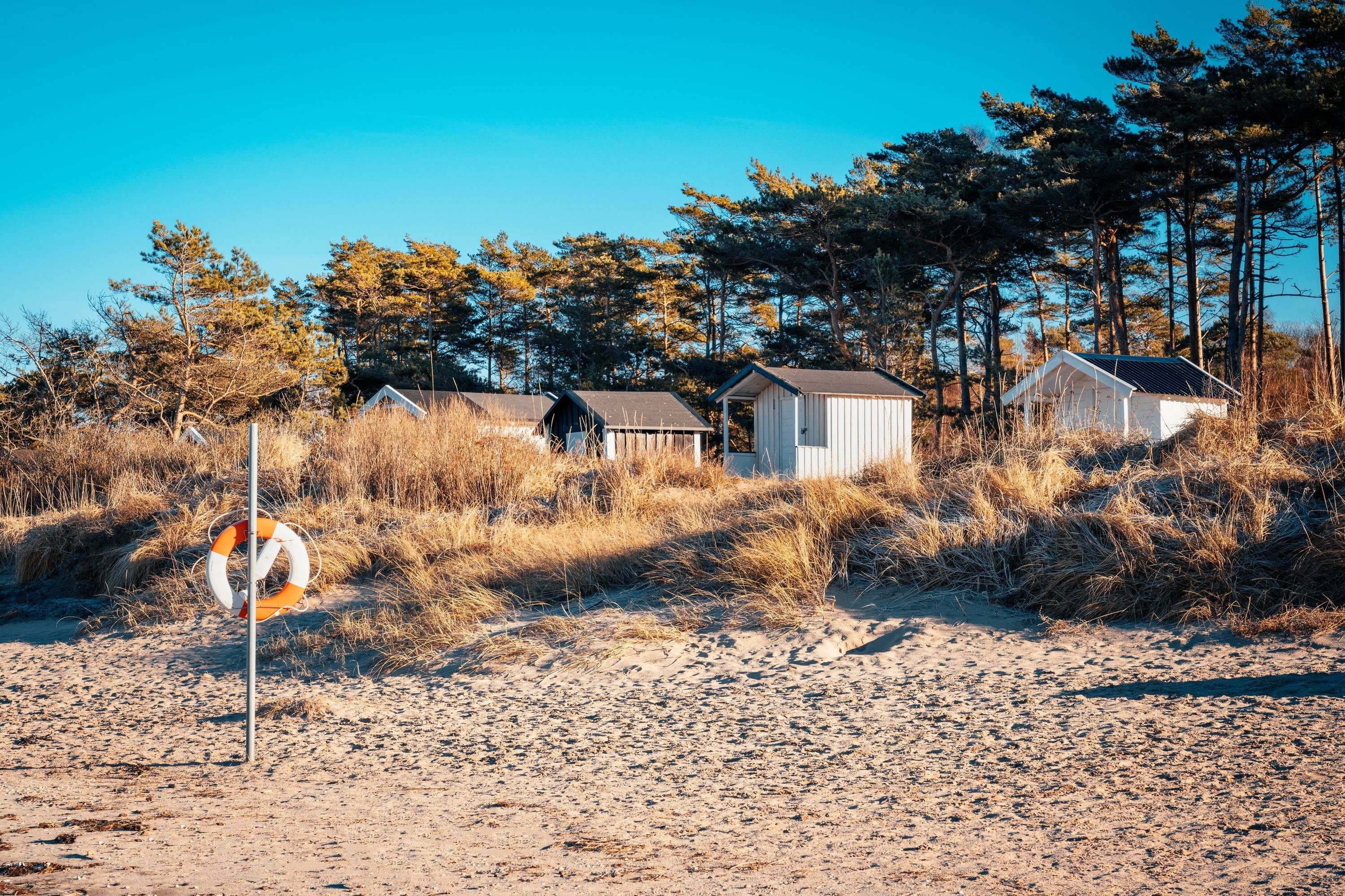 A beach with three small cabins, a lifebuoy, and tall trees in the background.