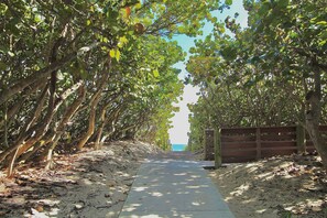 Ein von Bäumen gesäumter Weg führt zum Strand, begleitet von einem Holzzaun.