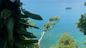A coastal view with a boat on the water, dense foliage, and a clear sky. - The Cliff Bungalow (Koh Rong Sanloem)