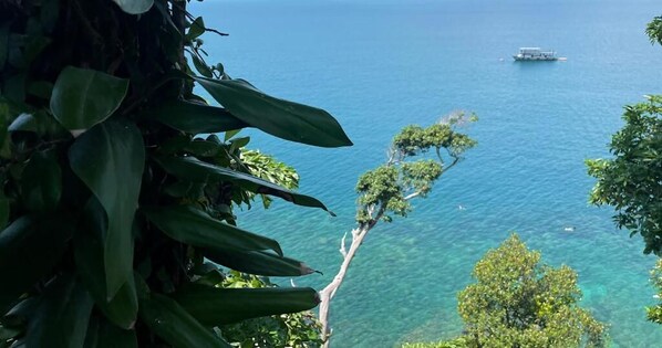A coastal view with a boat on the water, dense foliage, and a clear sky. - The Cliff Bungalow (Koh Rong Sanloem)