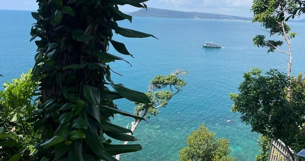 Vista dalla struttura