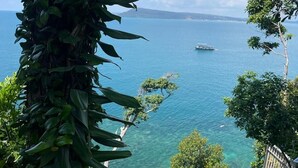 Vista de una masa de agua con un bote, rodeado de exuberante vegetación y árboles.