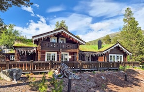 Exterior - Beautiful home in Hovden i Setesdal with sauna (Hovden i Setesdal)